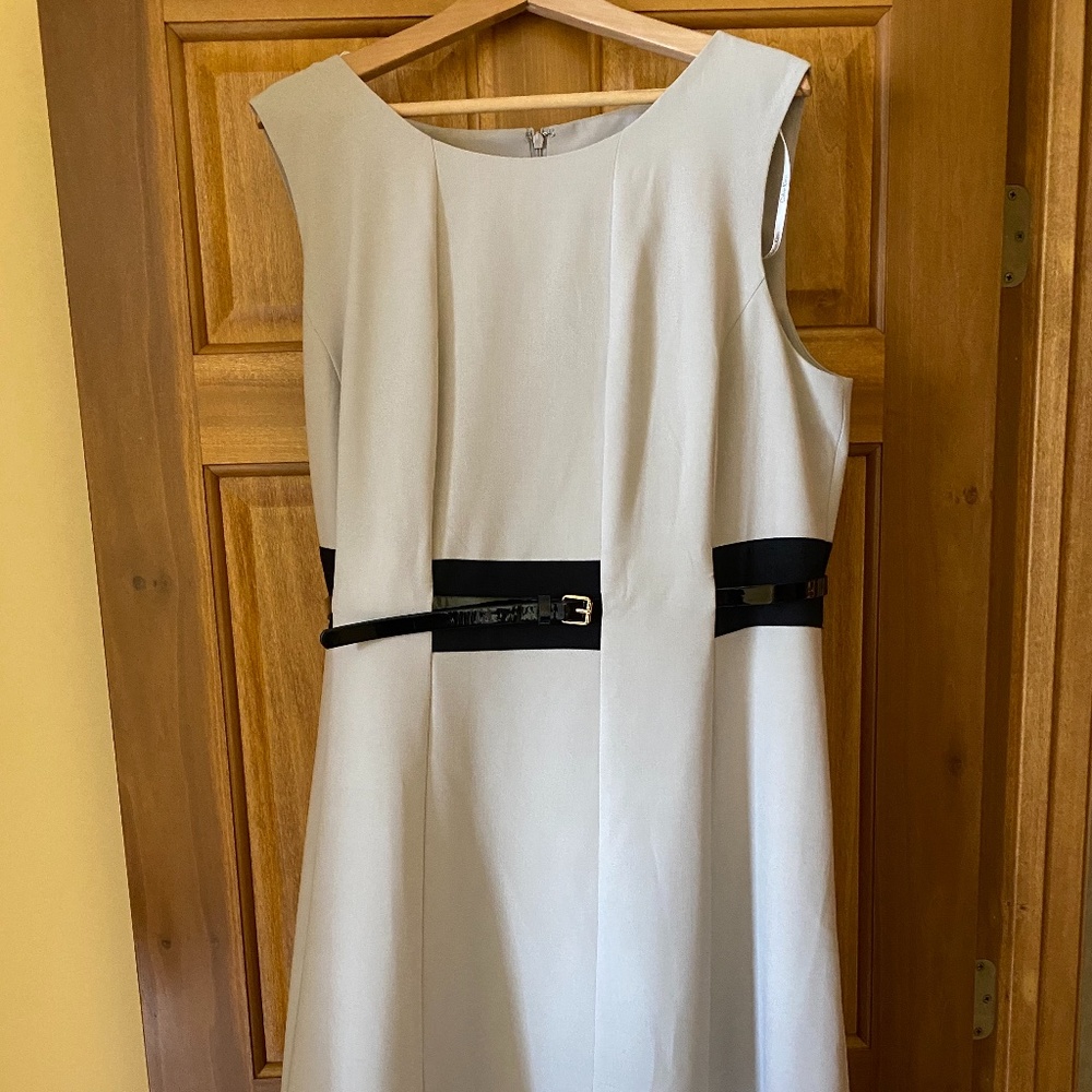 Calvin Kelin Dress